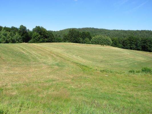angrenzende landwirtschaftliche Flächen  