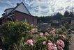 IMG_1388.jpeg
