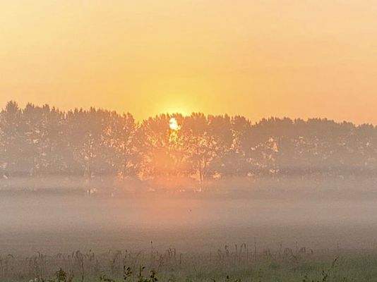 Sonnenaufgang über dem Grundstück