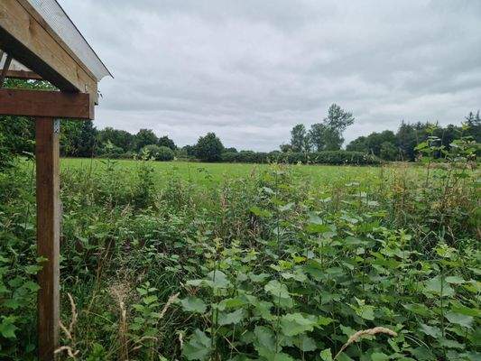 Schöne Aussicht von der Terrasse- hier geht der Blick ins Grüne