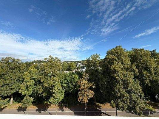 WhatsApp Bild 2025-09-03 um 13.48.14_07e0b956.jpg