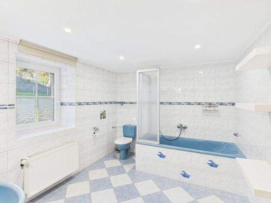 Badezimmer Wohnung EG