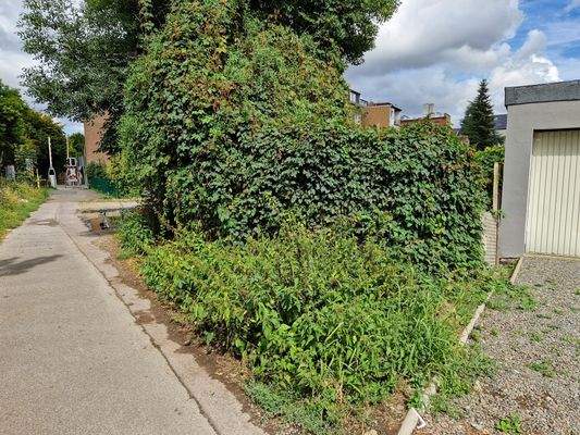 Ende des Grundstücks zum Rurdammweg