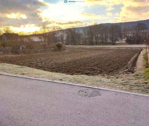 Markt Piesting Grundstücke, Markt Piesting Grundstück pachten