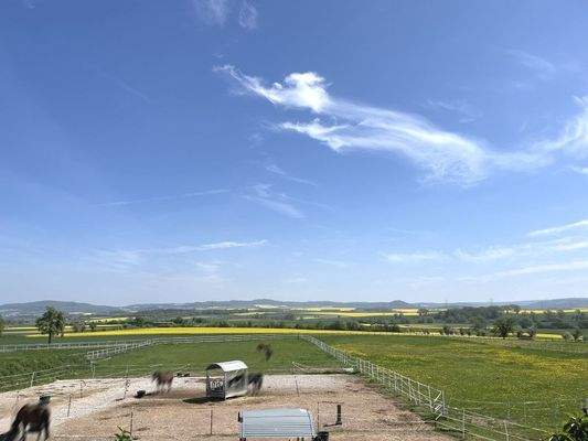 Blick auf den Außenbereich und Pferdekoppeln