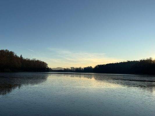 2025-12-10 08.29.01.jpg