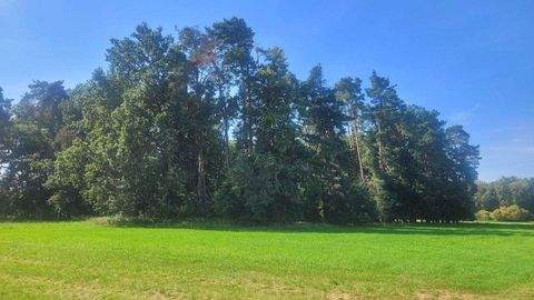 Büchenbach Grundstücke, Büchenbach Grundstück kaufen