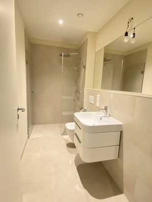 13  - Duschabd mit Spiegel.png