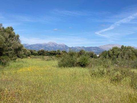 Muro Grundstücke, Muro Grundstück kaufen