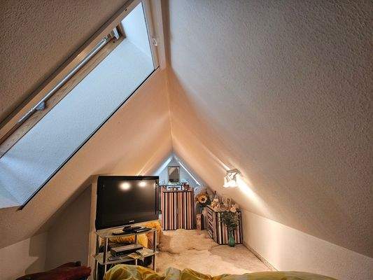 kuscheliger Dachspitz