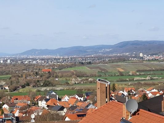Fernsicht nach Norden im Hintergrund Heidelber