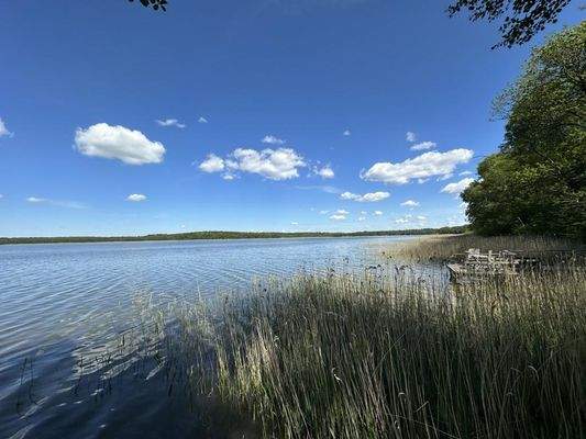 Damerower See