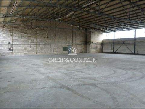 Köln Halle, Köln Hallenfläche