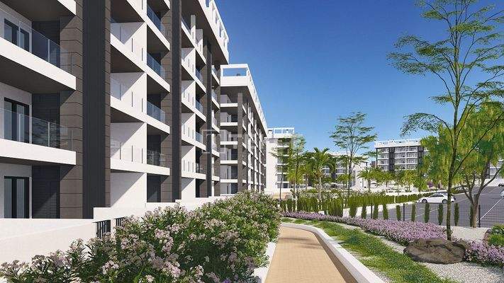 Stylish Apartments in La Mata Costa Blanca Nearby Amenities