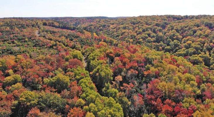 Nova Scotia - West Side Country Harbour - 52-Hekta