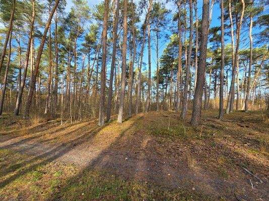 3_581565305_1177531237043645_5183057768384006342_n