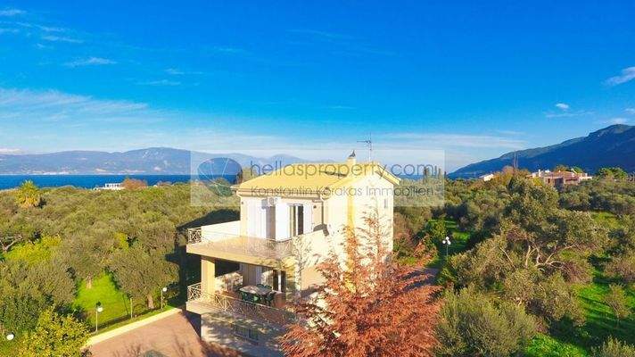 b1999f794358450b81de129d8f8166cc-original