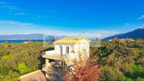 Rio Häuser, Rio Haus kaufen