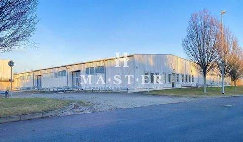 Oschatz Halle, Oschatz Hallenfläche