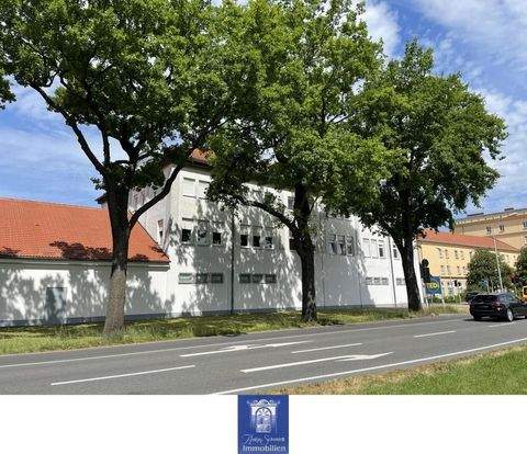 Senftenberg Wohnungen, Senftenberg Wohnung mieten