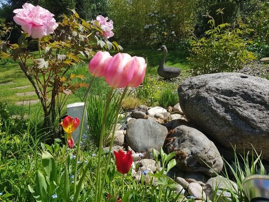 Garten 2