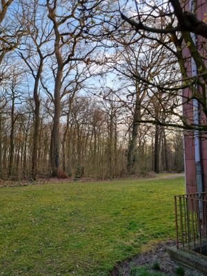Ausblick