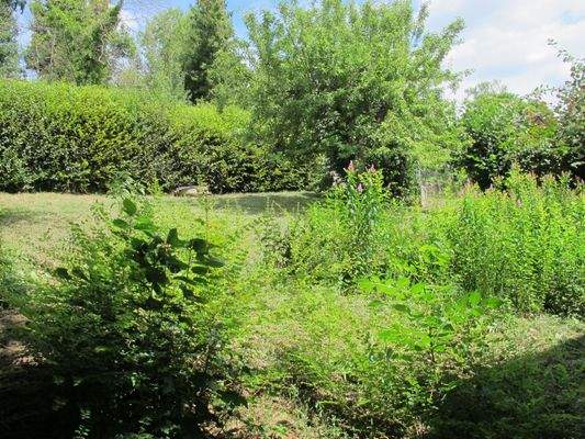 Garten auf der Nordseite.JPG