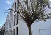 Bautenstand 19.10 2026
