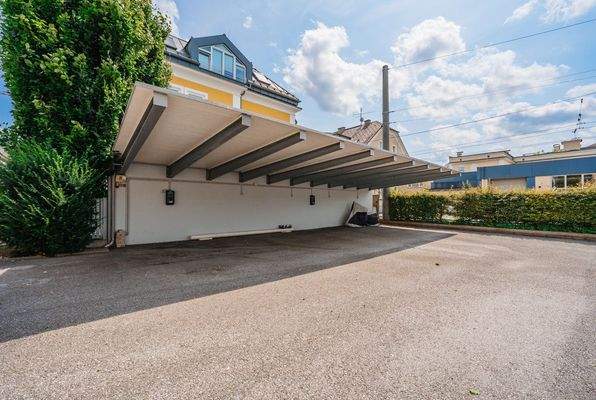 20250806-DSC08539-SJ Photography (Selina Jakob)