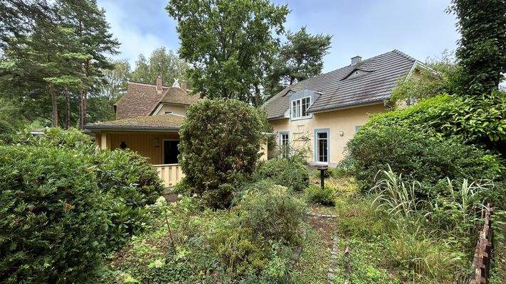 Eine grüne Oase im Küstenwald