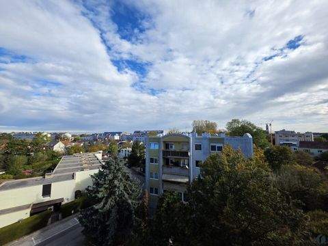 Wiener Neustadt Wohnungen, Wiener Neustadt Wohnung kaufen