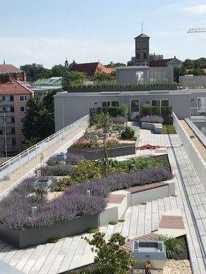 allgemeiner Dachgarten 