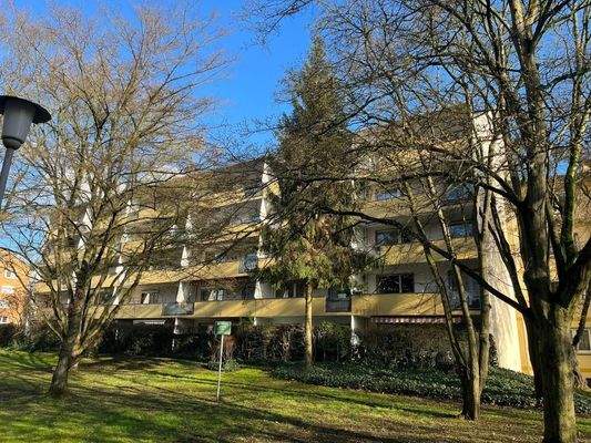 WhatsApp Image 2023-02-06 at 18.59.21 (2