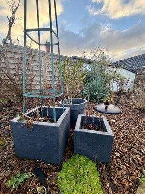 Blumenbeet im Garten