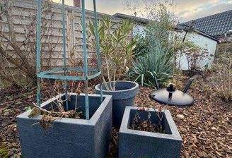 Blumenbeet im Garten