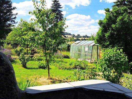 Blick in den Garten