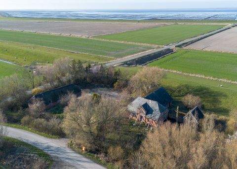 Norderfriedrichskoog Häuser, Norderfriedrichskoog Haus kaufen
