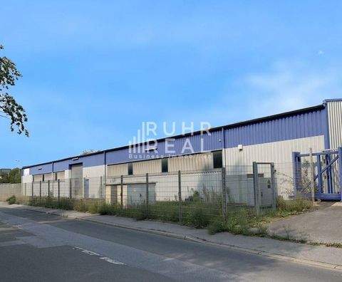 Dortmund Halle, Dortmund Hallenfläche