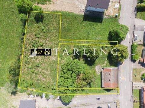 Staro Brestje Bauernhöfe, Landwirtschaft, Staro Brestje Forstwirtschaft