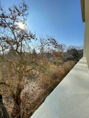 Blick vom Balkon