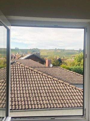 Ausblick zweites Haus