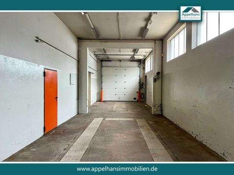 Osnabrück Halle, Osnabrück Hallenfläche