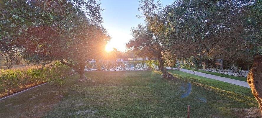 Sonnenaufgang Garten.jpg