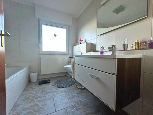 Badezimmer Hauptwohnung 