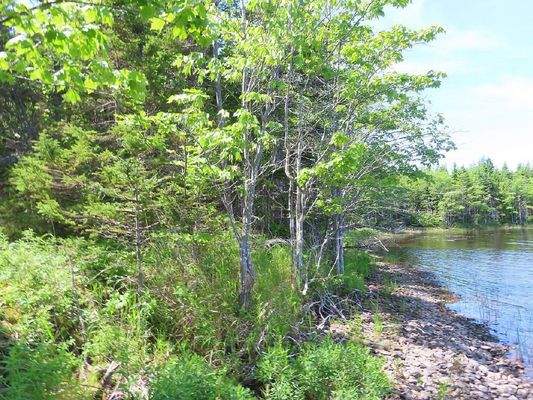 Cape Breton - Wunderschönes 11-Hektar-Areal mit 23