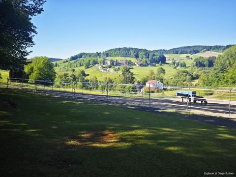 Schönberg Häuser, Schönberg Haus kaufen