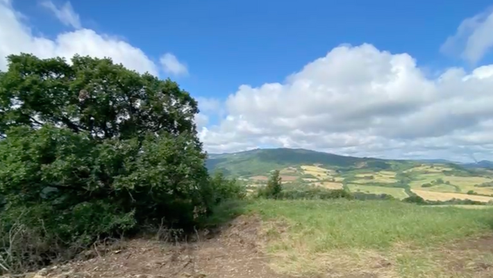 Screenshot 2025-10-20 alle 17.11.08.png