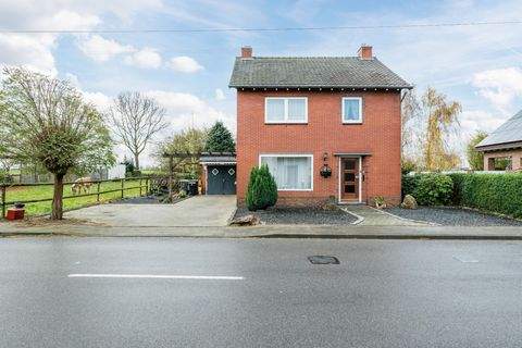 Selfkant Häuser, Selfkant Haus kaufen