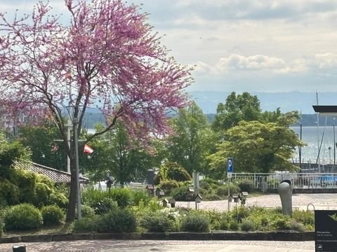 Friedrichshafen Wohnungen, Friedrichshafen Wohnung mieten