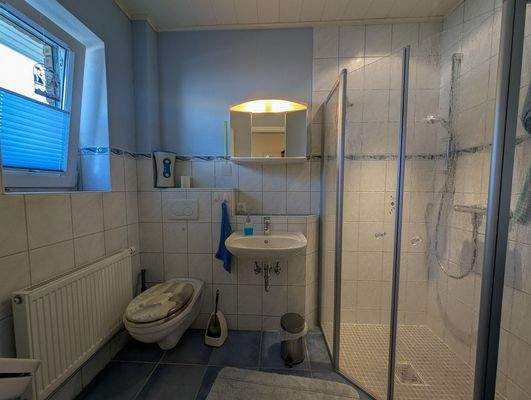 Gäste-WC mit Dusche